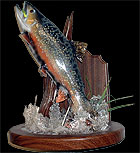Brook Trout Taxidermy Mount For Sale