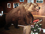 Grizzy Bear mounts